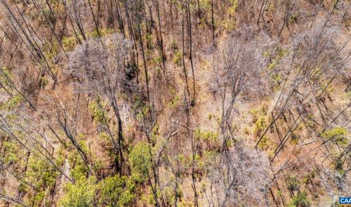 Photo #8 of JEFFERSON HWY, BUMPASS, VA 12.6 acres