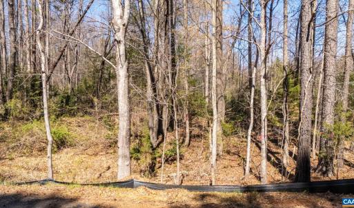 Photo #13 of JEFFERSON HWY, BUMPASS, VA 12.6 acres