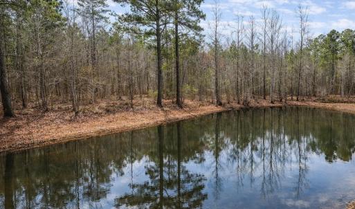 Photo #1 of JEFFERSON HWY, BUMPASS, VA 12.6 acres