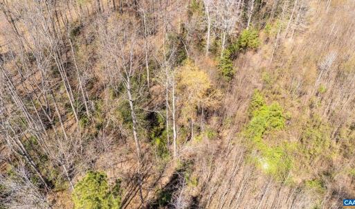 Photo #3 of JEFFERSON HWY, BUMPASS, VA 12.6 acres