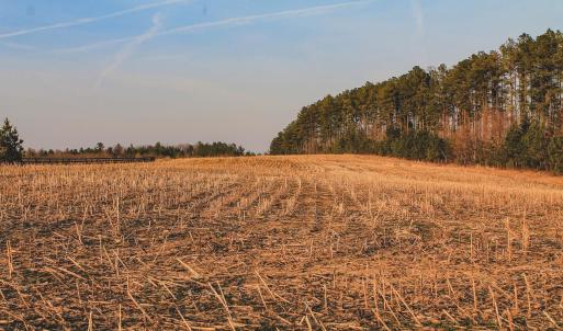 Photo #21 of TBD COURTENAY GLEN WAY, CHARLOTTESVILLE, VA 21.0 acres