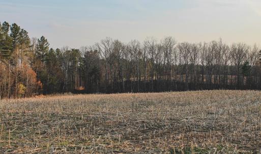 Photo #19 of TBD COURTENAY GLEN WAY, CHARLOTTESVILLE, VA 21.0 acres