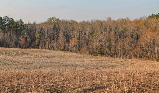 Photo #16 of TBD COURTENAY GLEN WAY, CHARLOTTESVILLE, VA 21.0 acres