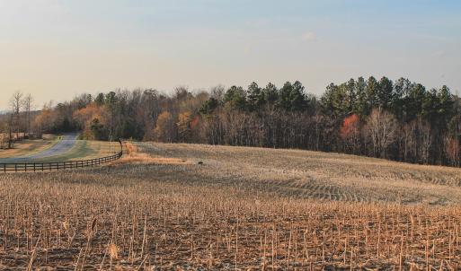 Photo #15 of TBD COURTENAY GLEN WAY, CHARLOTTESVILLE, VA 21.0 acres