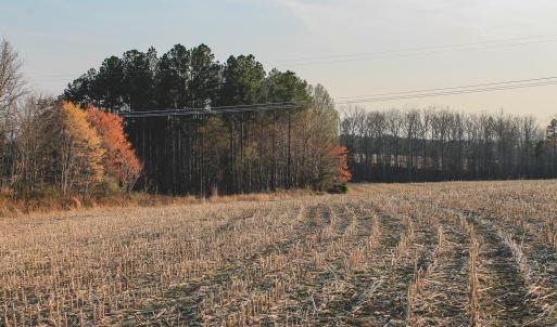 Photo #23 of TBD COURTENAY GLEN WAY, CHARLOTTESVILLE, VA 21.0 acres