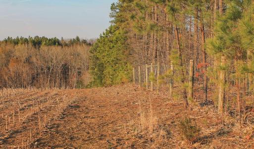 Photo #25 of TBD COURTENAY GLEN WAY, CHARLOTTESVILLE, VA 21.0 acres