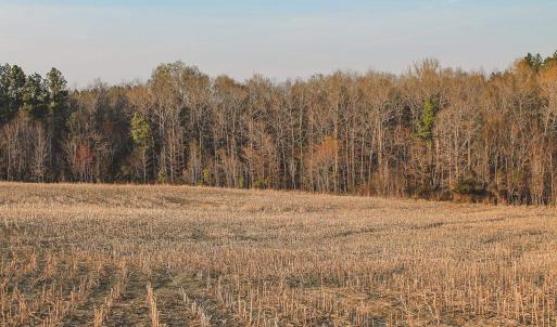 Photo #17 of TBD COURTENAY GLEN WAY, CHARLOTTESVILLE, VA 21.0 acres