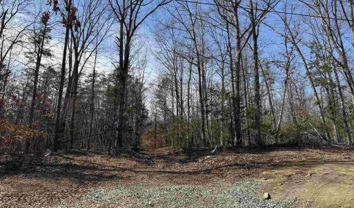 Photo #3 of 2301 THREE NOTCH RD, KENTS STORE, VA 24.3 acres