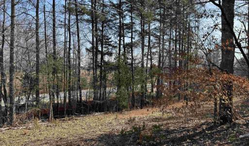 Photo #5 of 2301 THREE NOTCH RD, KENTS STORE, VA 24.3 acres