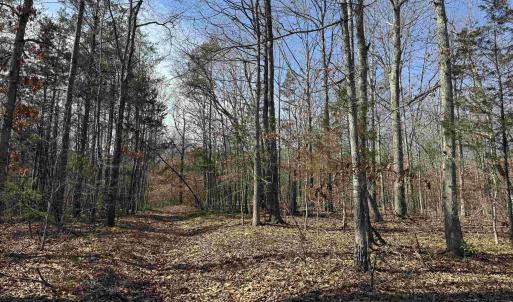 Photo #1 of 2301 THREE NOTCH RD, KENTS STORE, VA 24.3 acres