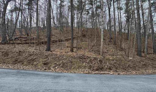 Photo #8 of TBD FAIRWAY DR, BASYE, VA 0.5 acres