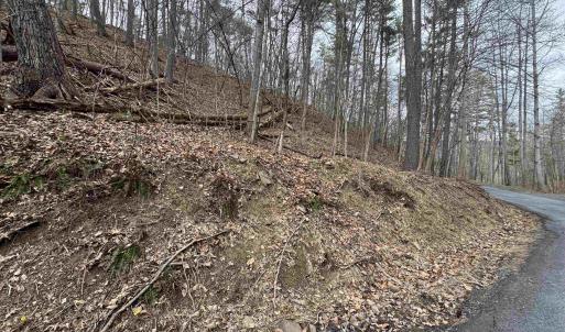 Photo #4 of TBD FAIRWAY DR, BASYE, VA 0.5 acres