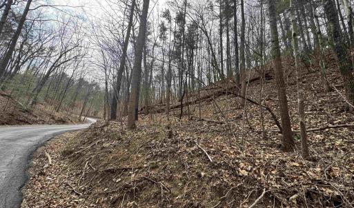 Photo #9 of TBD FAIRWAY DR, BASYE, VA 0.5 acres