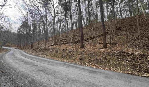 Photo #6 of TBD FAIRWAY DR, BASYE, VA 0.5 acres