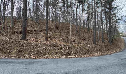 Photo #7 of TBD FAIRWAY DR, BASYE, VA 0.5 acres