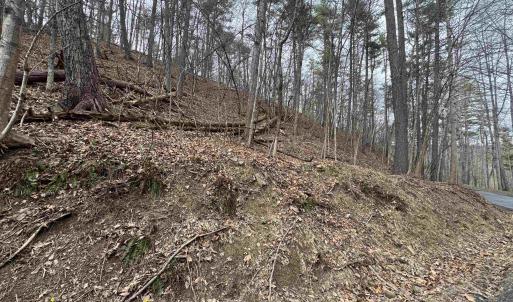 Photo #5 of TBD FAIRWAY DR, BASYE, VA 0.5 acres