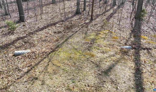 Photo #12 of 112 FISHER DR, MINERAL, VA 2.0 acres