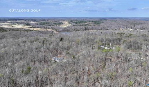 Photo #10 of 112 FISHER DR, MINERAL, VA 2.0 acres