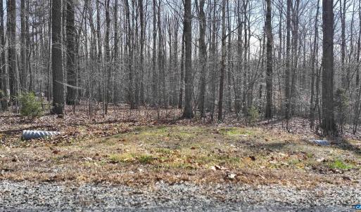Photo #11 of 112 FISHER DR, MINERAL, VA 2.0 acres