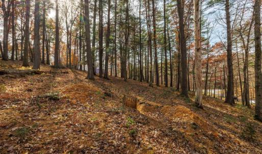 Photo #13 of TBD PLUM TREE DRAFT RD, CHURCHVILLE, VA 3.4 acres