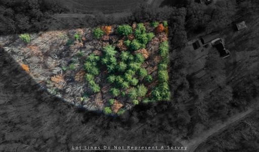 Photo #16 of TBD PLUM TREE DRAFT RD, CHURCHVILLE, VA 3.4 acres