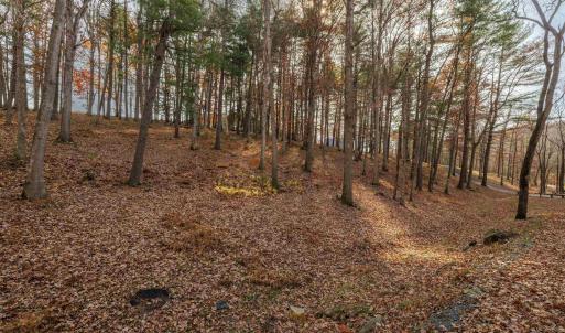 Photo #5 of TBD PLUM TREE DRAFT RD, CHURCHVILLE, VA 3.4 acres