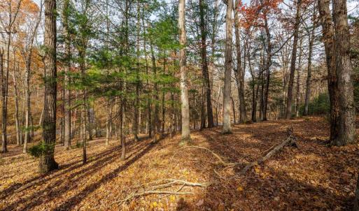 Photo #2 of TBD PLUM TREE DRAFT RD, CHURCHVILLE, VA 3.4 acres