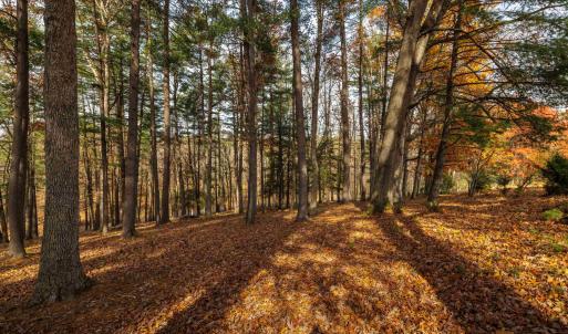 Photo #4 of TBD PLUM TREE DRAFT RD, CHURCHVILLE, VA 3.4 acres