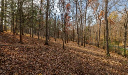 Photo #15 of TBD PLUM TREE DRAFT RD, CHURCHVILLE, VA 3.4 acres
