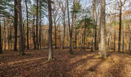 Photo #9 of TBD PLUM TREE DRAFT RD, CHURCHVILLE, VA 3.4 acres