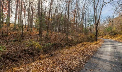 Photo #10 of TBD PLUM TREE DRAFT RD, CHURCHVILLE, VA 3.4 acres
