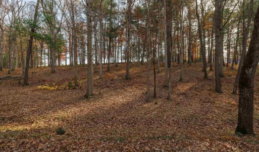 Photo #3 of TBD PLUM TREE DRAFT RD, CHURCHVILLE, VA 3.4 acres