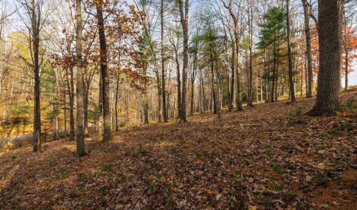 Photo #12 of TBD PLUM TREE DRAFT RD, CHURCHVILLE, VA 3.4 acres