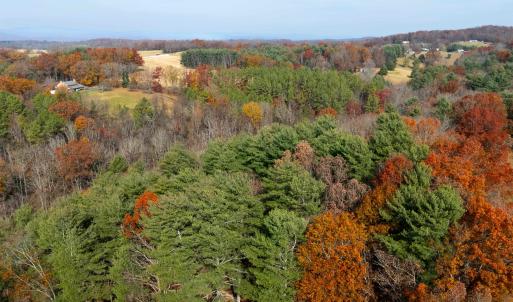 Photo #24 of TBD PLUM TREE DRAFT RD, CHURCHVILLE, VA 3.4 acres