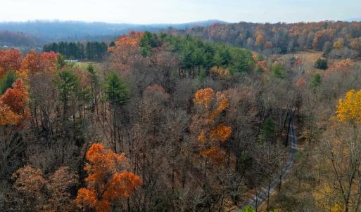 Photo #7 of TBD PLUM TREE DRAFT RD, CHURCHVILLE, VA 3.4 acres