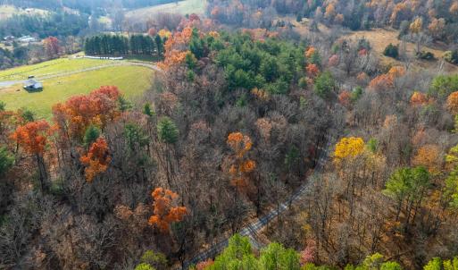 Photo #6 of TBD PLUM TREE DRAFT RD, CHURCHVILLE, VA 3.4 acres