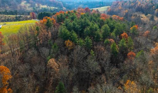 Photo #17 of TBD PLUM TREE DRAFT RD, CHURCHVILLE, VA 3.4 acres