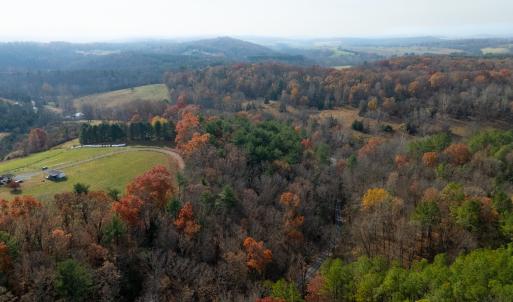 Photo #18 of TBD PLUM TREE DRAFT RD, CHURCHVILLE, VA 3.4 acres