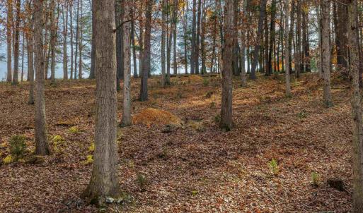 Photo #8 of TBD PLUM TREE DRAFT RD, CHURCHVILLE, VA 3.4 acres