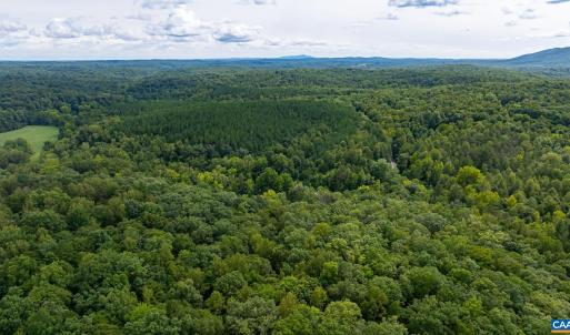 Photo #31 of 4952 IRISH RD, SCHUYLER, VA 11.3 acres