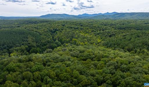 Photo #32 of 4952 IRISH RD, SCHUYLER, VA 11.3 acres