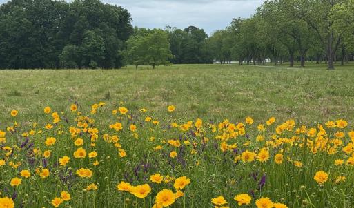 Photo #9 of TBD PECAN LN, CARDINAL, VA 10.2 acres