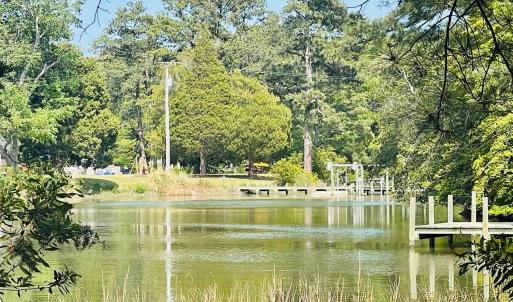 Photo #1 of TBD PECAN LN, CARDINAL, VA 10.2 acres