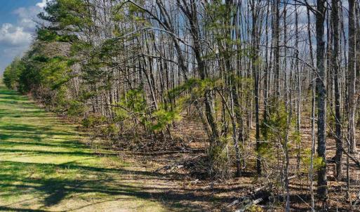 Photo #10 of 19075 CHILESBURG RD, BEAVERDAM, VA 21.6 acres