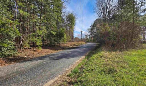 Photo #15 of 19075 CHILESBURG RD, BEAVERDAM, VA 21.6 acres