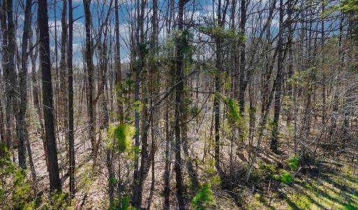 Photo #8 of 19075 CHILESBURG RD, BEAVERDAM, VA 21.6 acres