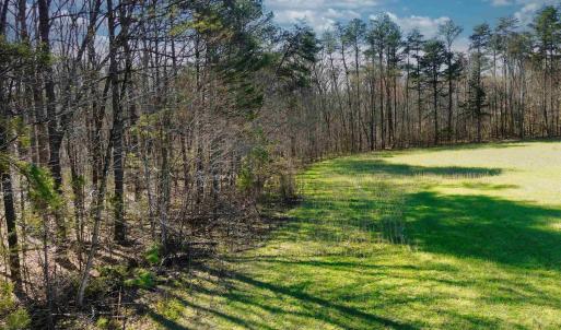 Photo #11 of 19075 CHILESBURG RD, BEAVERDAM, VA 21.6 acres