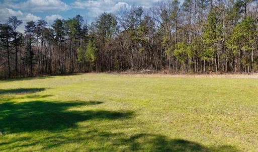 Photo #12 of 19075 CHILESBURG RD, BEAVERDAM, VA 21.6 acres