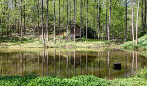 Photo #31 of GIBSONS HOLLOW LN, CHARLOTTESVILLE, VA 107.3 acres