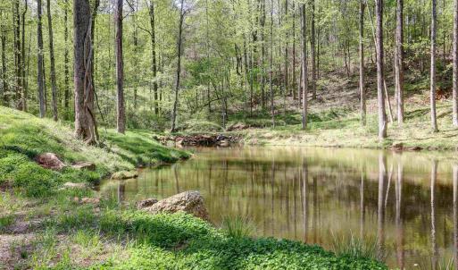 Photo #32 of GIBSONS HOLLOW LN, CHARLOTTESVILLE, VA 107.3 acres